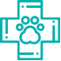 Equipa Médica Experiente